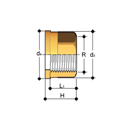 Q/BFO - Brass union end