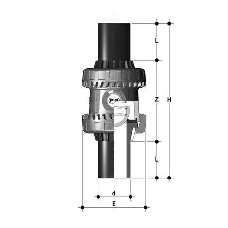 SSEBEV/A316 - Easyfit True Union ball and spring check valve DN 10:50